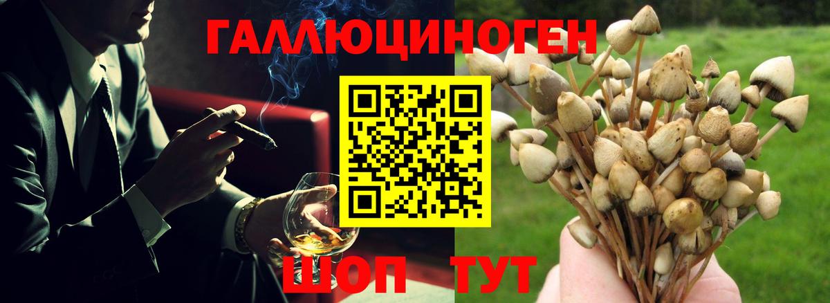 Галлюциногенные грибы GOLDEN TEACHER Луховицы